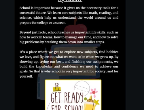 Why is school important? By Nasra