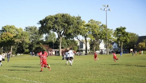 MTS Soccer